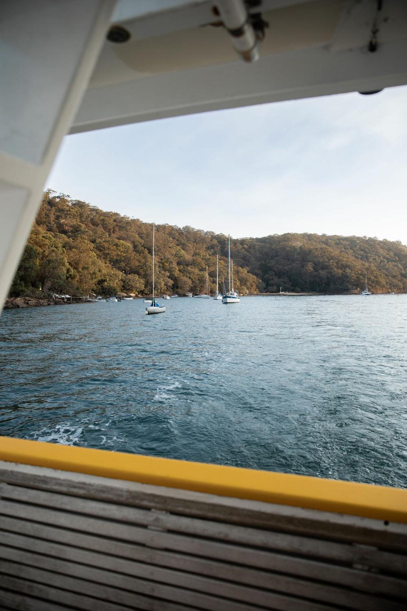 הוילה Great Mackerel Beach Cape Mackerel Cabin With Magic Palm Beach & Pittwater Views מראה חיצוני תמונה